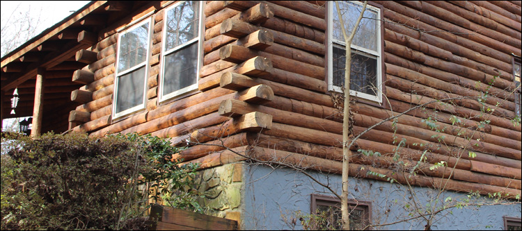 South Carolina Log Home Repair Gilbert, South Carolina
