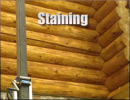  Lexington County,  South Carolina Log Home Staining